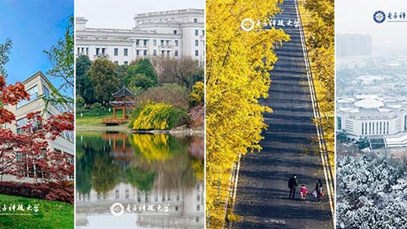 线路板生产流程揭秘：从设计到成品的关键步骤