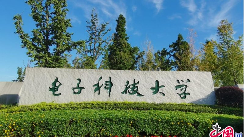 欧洲RoHS指令：电子产品出口欧洲的绿色壁垒**